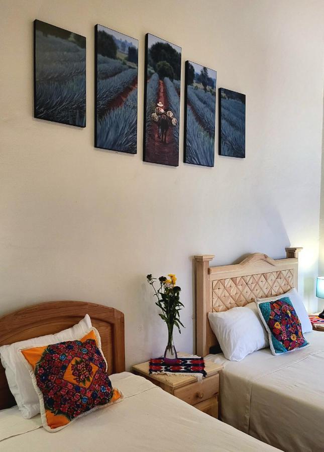 Casa Los Arquitos B&B Oaxaca ภายนอก รูปภาพ